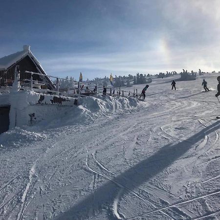 Schronisko Pttk Hala Szrenicka Hostel Szklarska Poręba Buitenkant foto